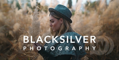 Blacksilver-WordPress的摄影主题