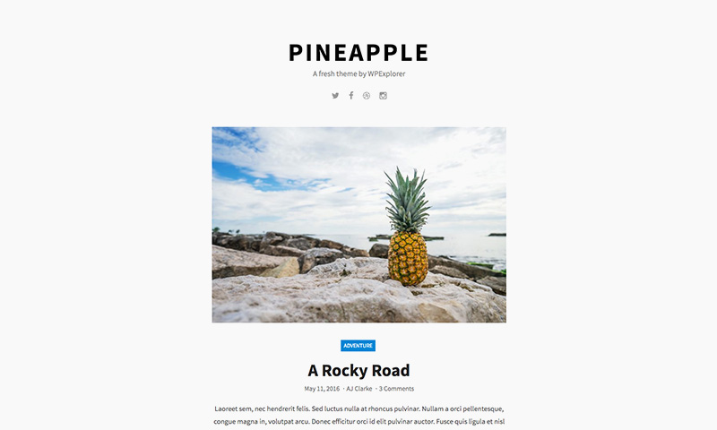 pineapple-free-portfolio-wordpress-theme
