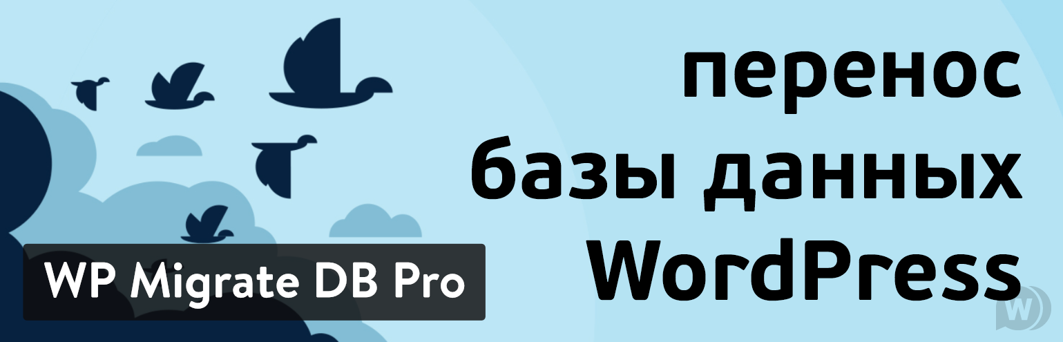 Wp Migrate Db Pro+附加组件 Wordpress数据库传输插件