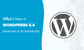Wordpress 5.4的新功能
