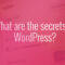 Wordpress的秘密是什么