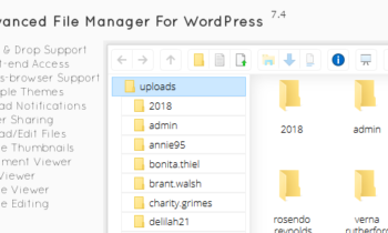 Wordpress的文件管理器插件