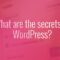 Wordpress 的秘密是什么？