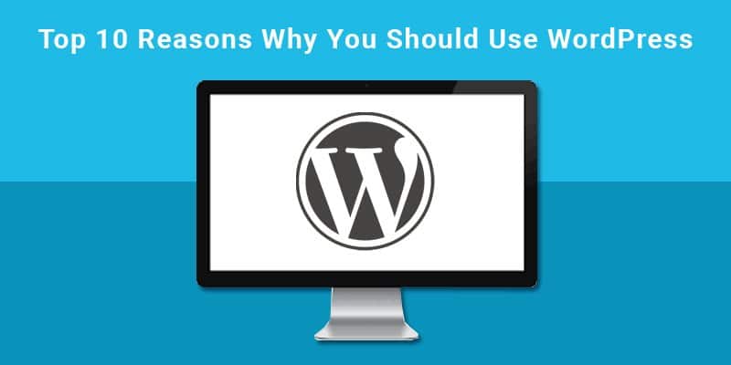 您应该使用 WordPress 的十大理由
